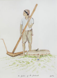 N.S Harsha | the gardener of the parliament | 2007 | watercolour on paper | 16.5 x 11.5 Inches