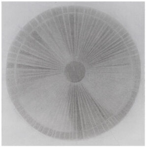 Sonatina Mendes | Untitled 8 | 2018 | Graphite on paper | 8.25 x 8.25 inches