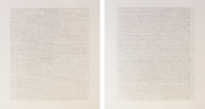 Ankush Safaya | Untitled | 2021-2022 | Digital archival print and Graphite on paper (Set of 2 units) | 27.5 x 19.5 each Inches