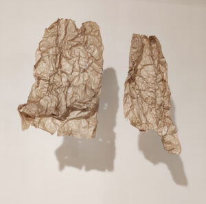 Ratna Gupta | Tear | 2013-2014 | Newsprint paper, coper wire & wood varnish- set of 2 units | 31 x 20 Inches & 34 x 14 Inches