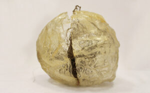 Ratna Gupta | Contain me | 2021 | Resin, copper wire, organic matter & archival varnish | 11(H) x 8.5(L) x 9(W) Inches